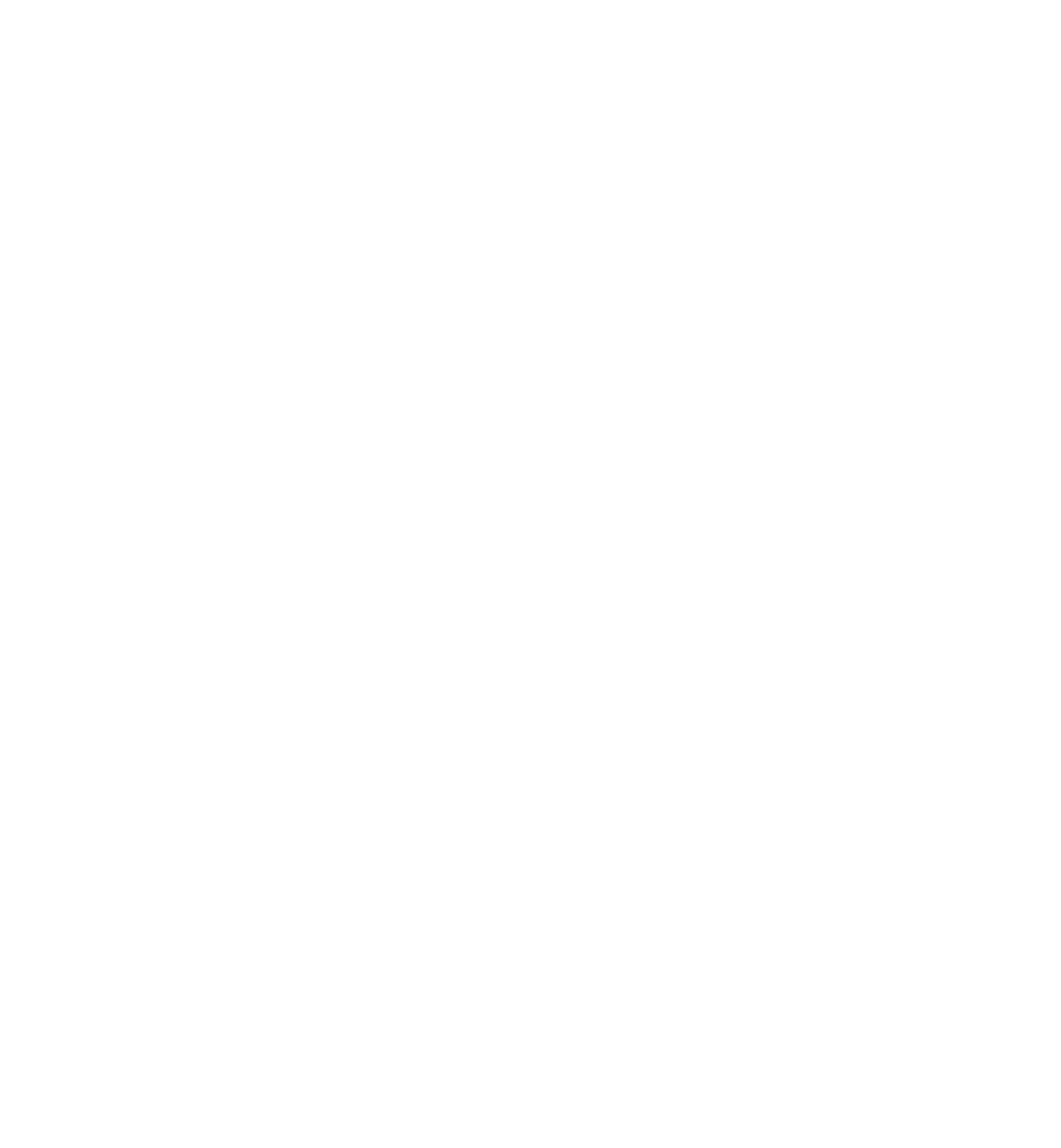 White logo - no background